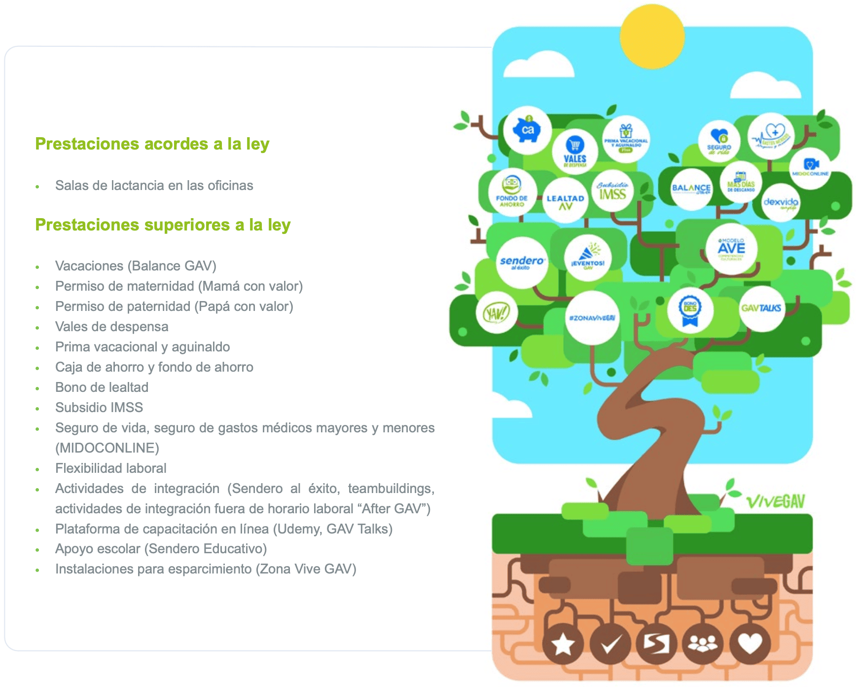 Soluciones Integrales